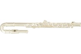 SML - KINDERDWARSFLUIT VSM FL50 INCL. CASE