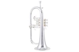 YAMAHA - YFH631GS BUGEL VERZILVERD