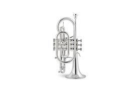 STOMVI - ES CORNET TITAN, GOLDBRASS