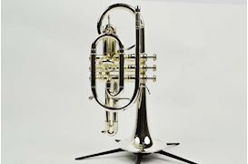 STOMVI - BES CORNET TITAN, GOLD BRASS